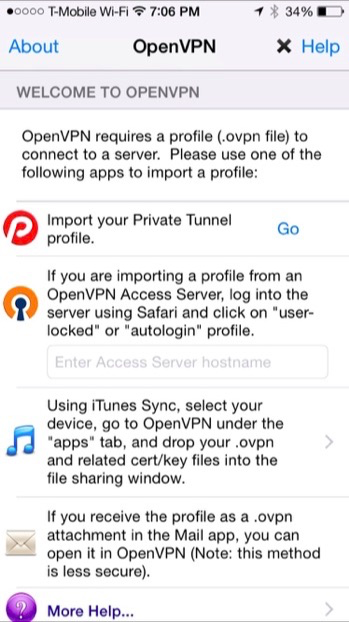 IOS Openvpn settings